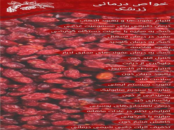 معرفی خواص دارویی زرشک