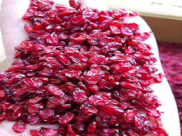 فروشنده زرشک بی دانه پفکی در بیرجند