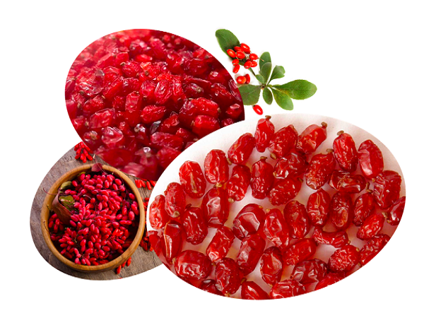 فروش فله زرشک پفکی کیلویی بیرجند