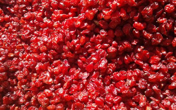 خرید عمده زرشک دانه اناری درجه یک کیلویی