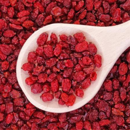 خرید عمده زرشک خشک درجه یک ارگانیک 