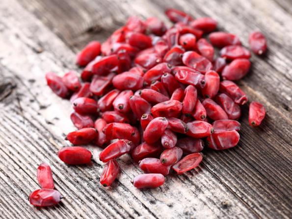 فواید زرشک از دیدگاه طب سنتی