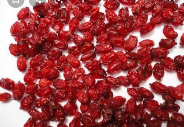 خرید زرشک صادراتی اعلا قاین از کشاورز