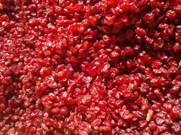 فروشنده زرشک پفکی درجه یک کیلویی