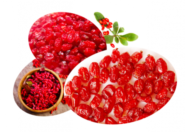 پخش عمده زرشک اعلا فله ای مشهد