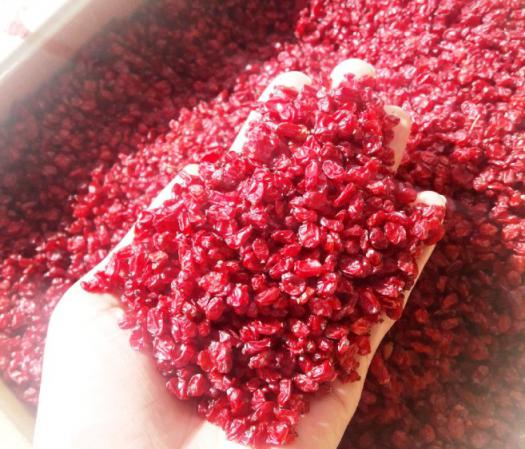 زرشک با خواص درمانی با ارزش